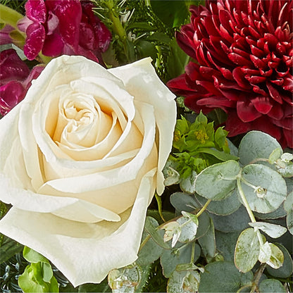Cranberry Fizz Bouquet – LATE BLOOMERS FLORAL & GIFT LLC, Willmar MN