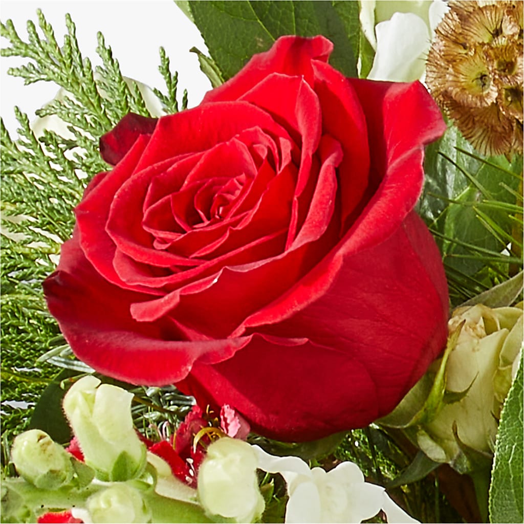 Deck the Halls Bouquet – LATE BLOOMERS FLORAL & GIFT LLC, Willmar MN