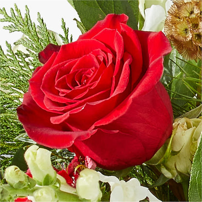 Deck the Halls Bouquet – LATE BLOOMERS FLORAL & GIFT LLC, Willmar MN