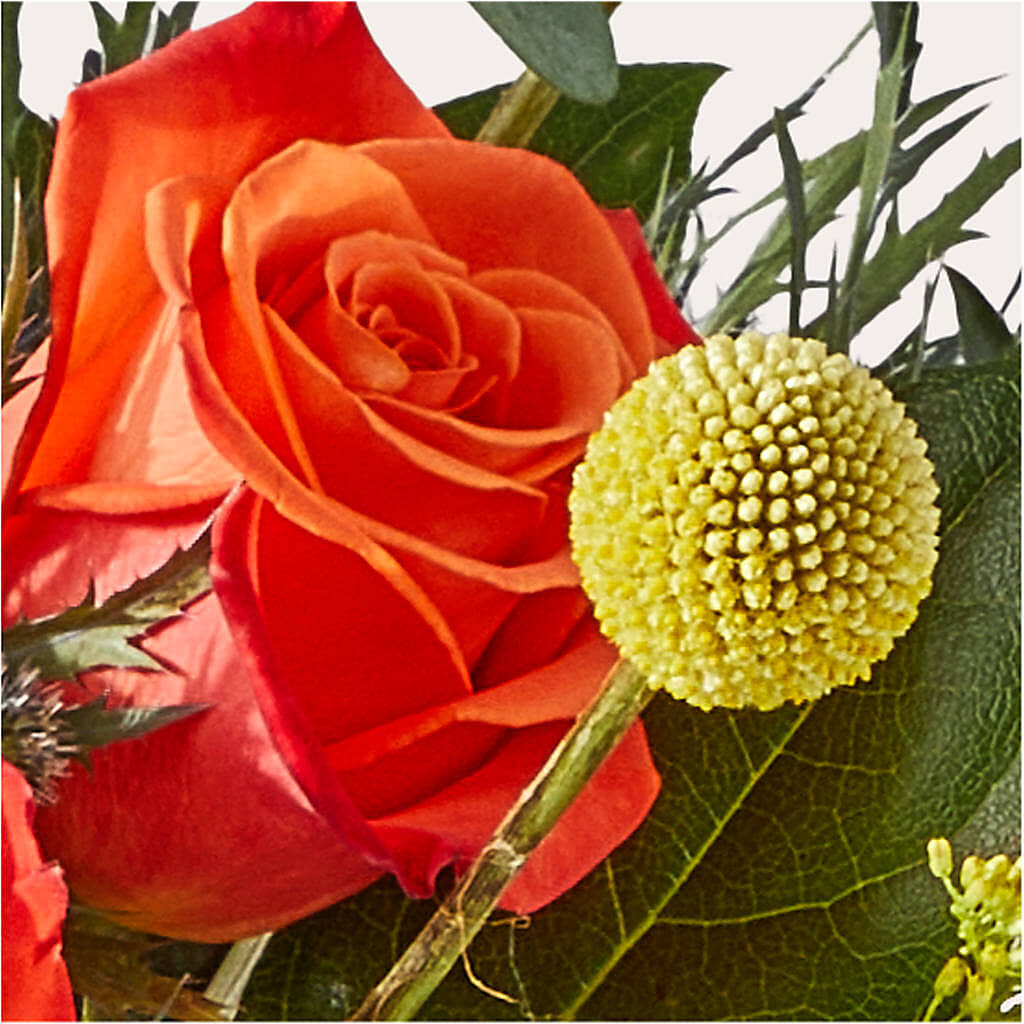 Disco Bouquet – LATE BLOOMERS FLORAL & GIFT LLC, Willmar MN
