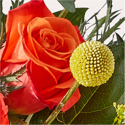 Disco Bouquet – LATE BLOOMERS FLORAL & GIFT LLC, Willmar MN