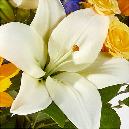 Wonderfully Sunny Bouquet – LATE BLOOMERS FLORAL & GIFT LLC, Willmar MN