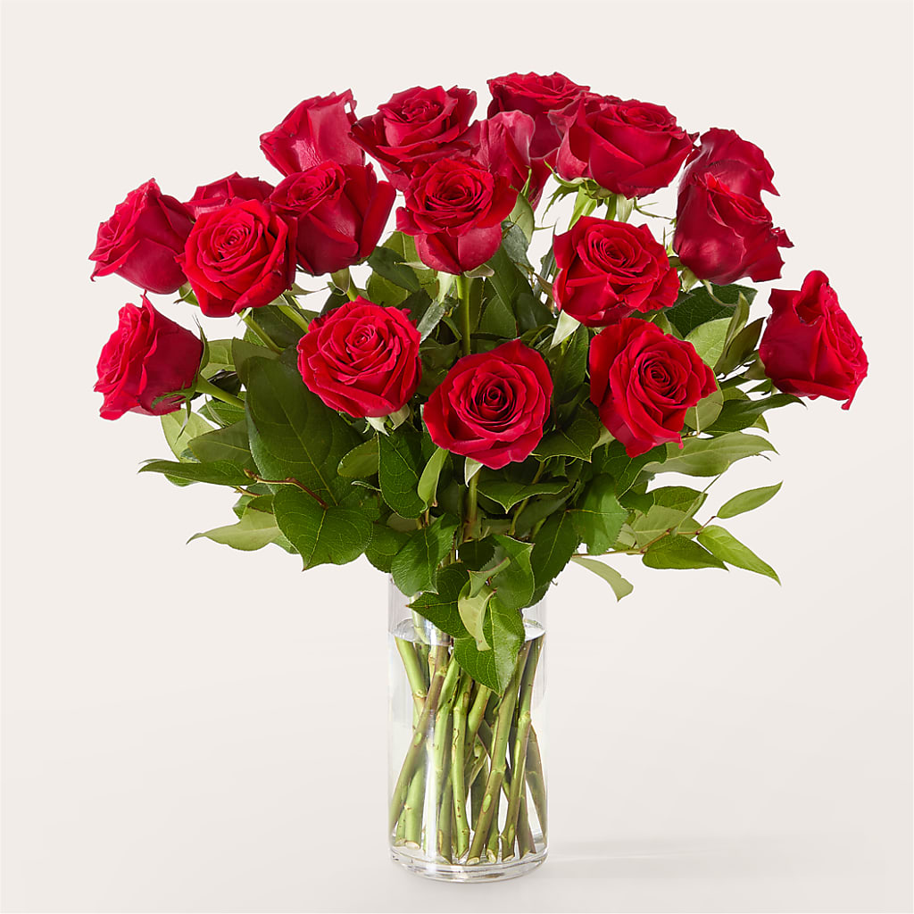 The One Red Rose Bouquet – LATE BLOOMERS FLORAL & GIFT LLC, Willmar MN