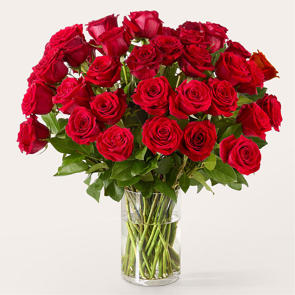 The One Red Rose Bouquet – LATE BLOOMERS FLORAL & GIFT LLC, Willmar MN