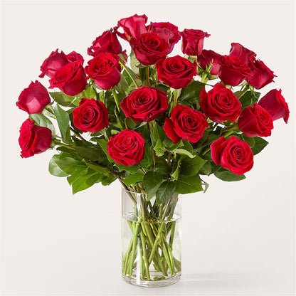The One Red Rose Bouquet – LATE BLOOMERS FLORAL & GIFT LLC, Willmar MN