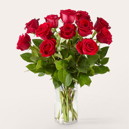 The One Red Rose Bouquet – LATE BLOOMERS FLORAL & GIFT LLC, Willmar MN