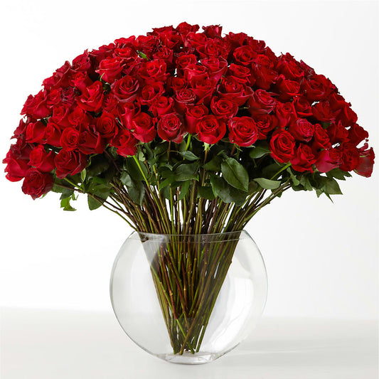The Idealist – LATE BLOOMERS FLORAL & GIFT LLC, Willmar MN