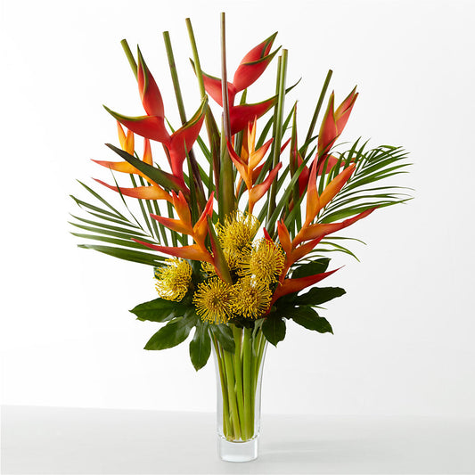 The Drama – LATE BLOOMERS FLORAL & GIFT LLC, Willmar MN