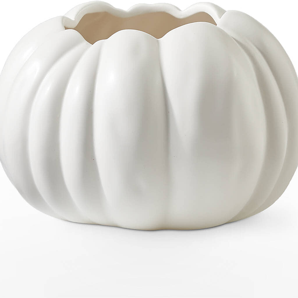 Autumn Air Pumpkin Bouquet – LATE BLOOMERS FLORAL & GIFT LLC, Willmar MN